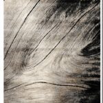 VEGAS 200X290 ΤΑΠ. Ρ.Ρ. ΤΟΥΡΚΙΑΣ