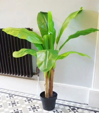 6 17 np014 120 22 4 BANANA TREE NP014_120_22 ΥΨΟΣ 120cm NewPlan 5