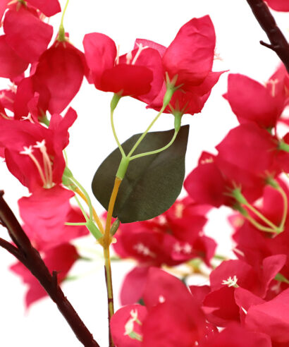 6 17 np0421 210 4 BOUGAINVILLEA NP0421_210 ΥΨΟΣ 210cm NewPlan 5