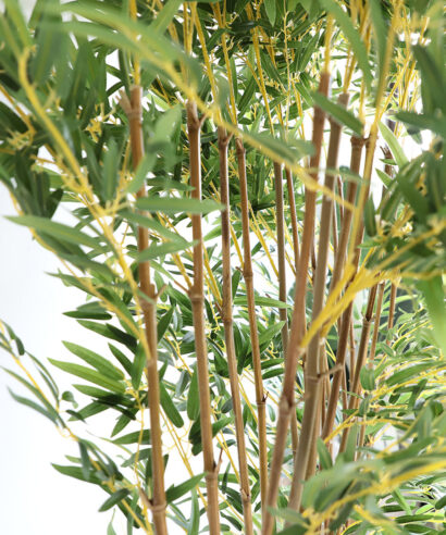 6 17 np827 180 uv 1 BAMBOO IN POT (L90*W30) NP827_180_UV ΥΨΟΣ 180cm NewPlan 2