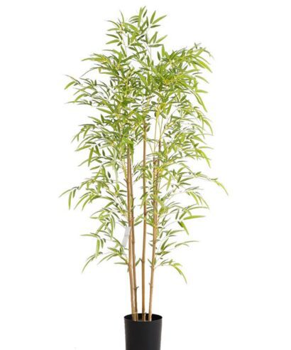 BAMBOO NP6320_150_22 ΥΨΟΣ 150cm NewPlan - ace606c2a62f4b8b9c2ba505c4ee533b