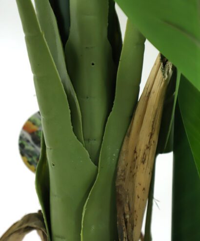 BANANA TREE NP702_145 ΥΨΟΣ 145cm NewPlan - 6 17 np702 145 3