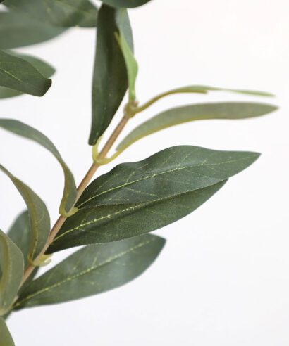OLIVE TREE NP439_150 ΥΨΟΣ 150cm NewPlan - 6 17 np 439 150 2