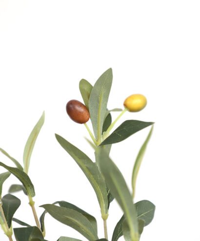 OLIVE TREE NP439_150 ΥΨΟΣ 150cm NewPlan - 6 17 np 439 150 3