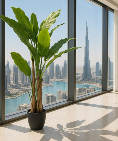 BANANA TREE NP6327_180_22 ΥΨΟΣ 180cm NewPlan - 6 17 np6327 180 22 4