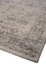 Fanci D147A L Grey Vison - Image 2