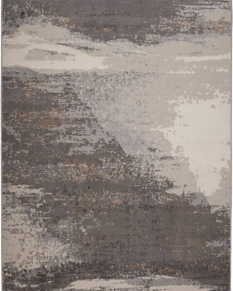 Fanci I290A Grey  Vison