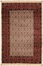 Jasmine New 1804 0077 Ivory