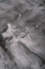 Lapin Skin Grey 04 Animal shape - Image 2