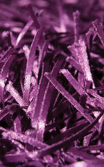 ΧΑΛΙ SHAGGY FLATO PLUM - 160cm x 230cm - Image 2