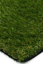 Sole Grass - 50mm - Image 2
