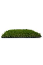 Sole Grass - 50mm - Image 4